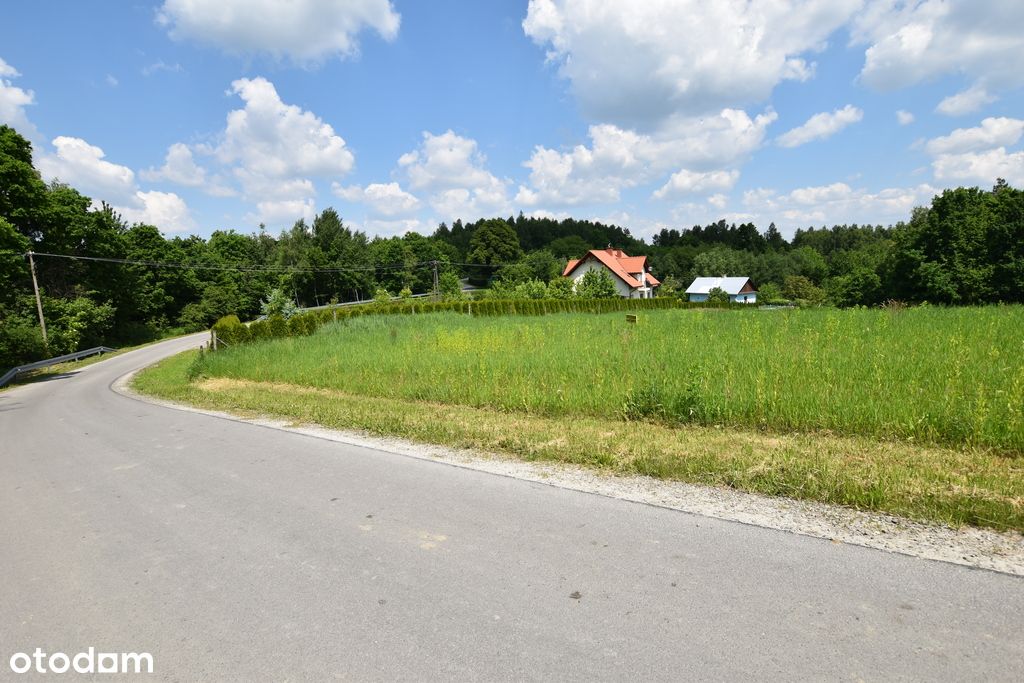 Działka z warunkami zabudowy Borek Stary