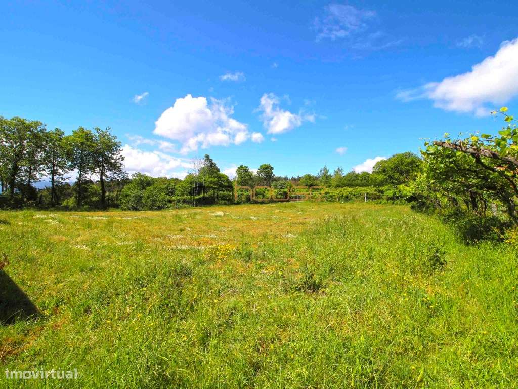 Casa de Aldeia - Terreno Plano-8
