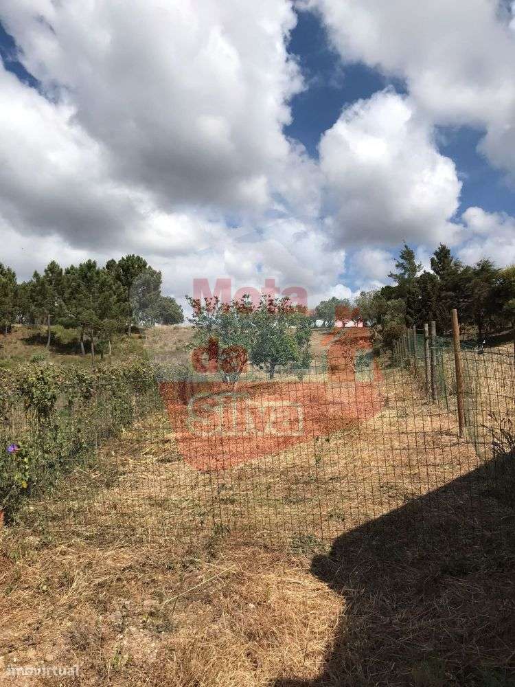 Quinta em Vale Figueira Melides-22