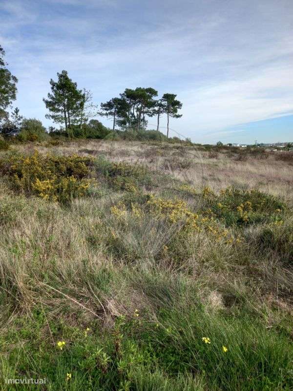 Terreno  para venda - Grande imagem: 3/5