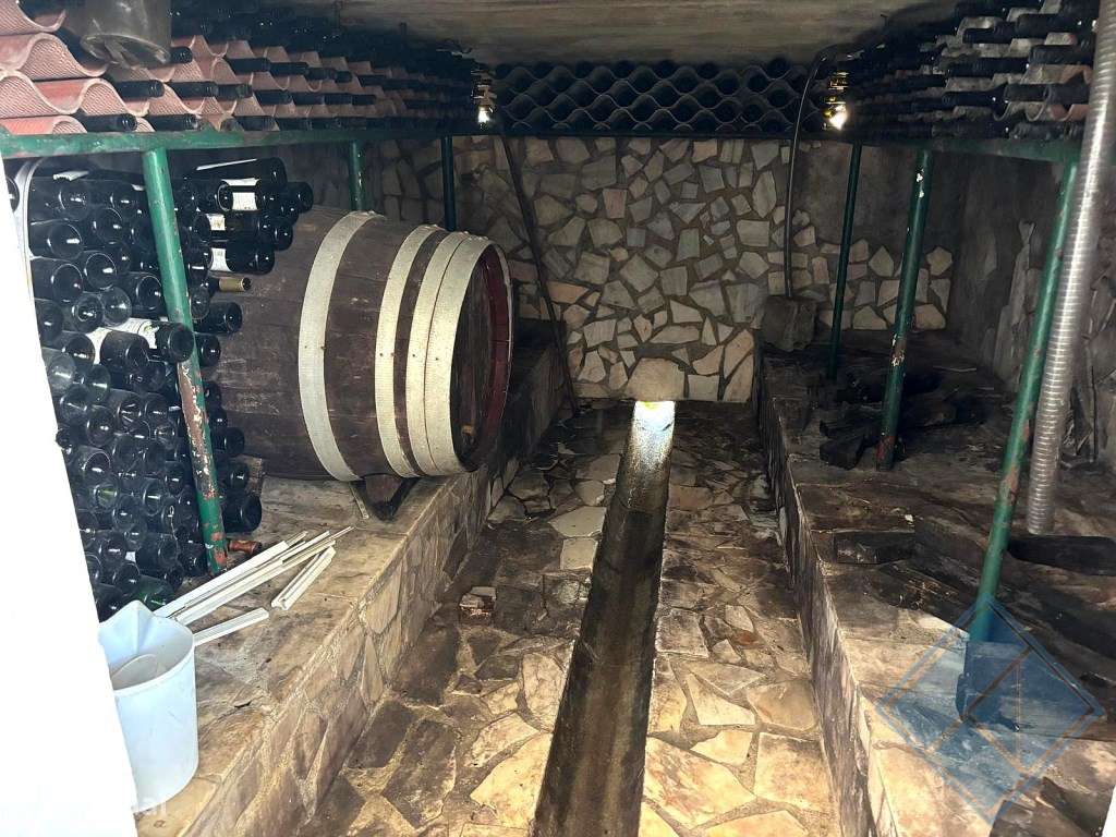 Monte Alentejano com Piscina, Vinha e Árvores de Fruto-37