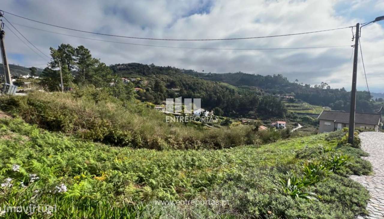 Venda Terreno, Santa Leocádia e Mesquinhata, Baião - Grande imagem: 2/30