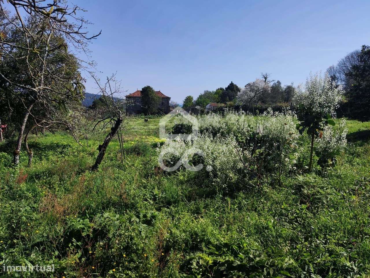 Quinta, Termas de São Vicente, Penafiel-15