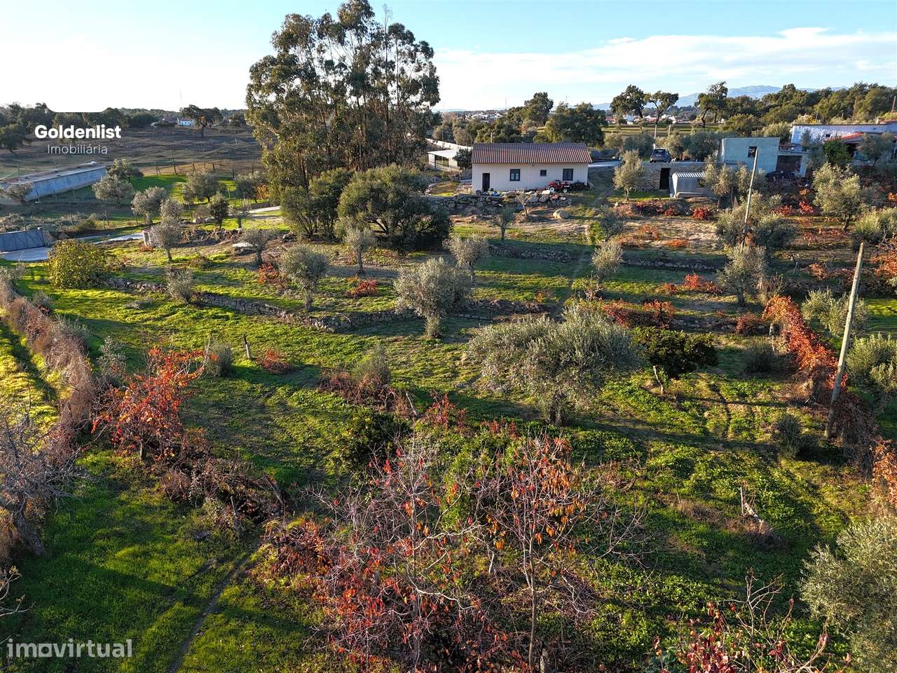 Quinta T3 Venda em Escalos de Cima e Lousa,Castelo Branco-25