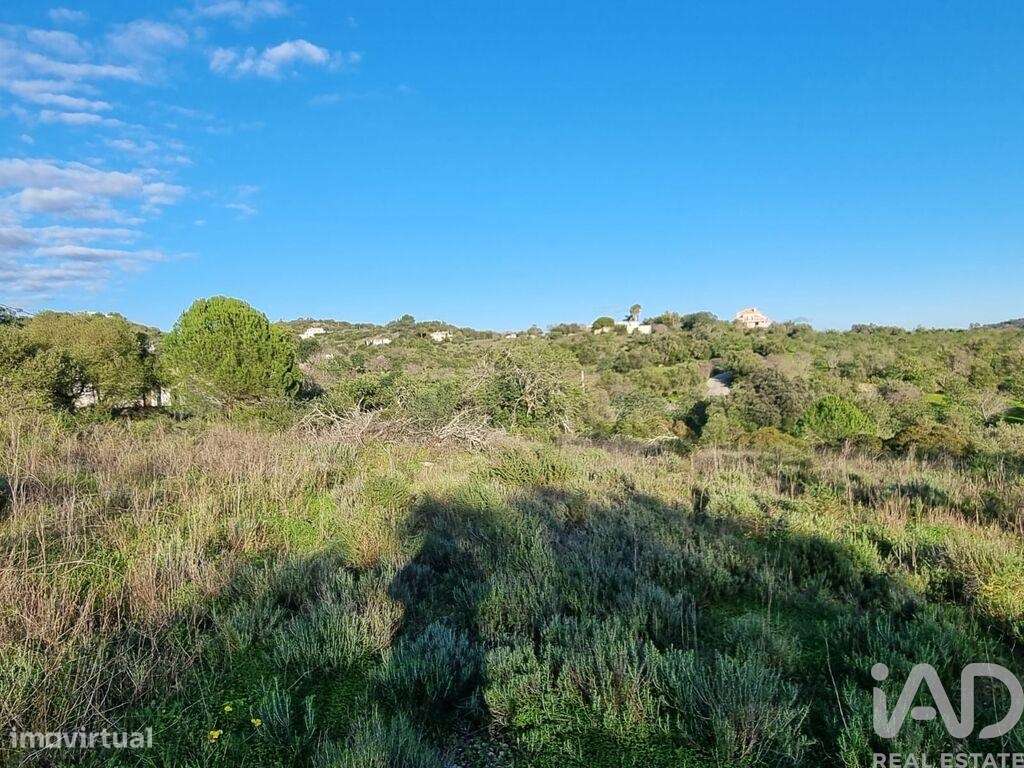 Terreno para construção em Loulé (São Clemente) de 796,00 m2 - Grande imagem: 5/13