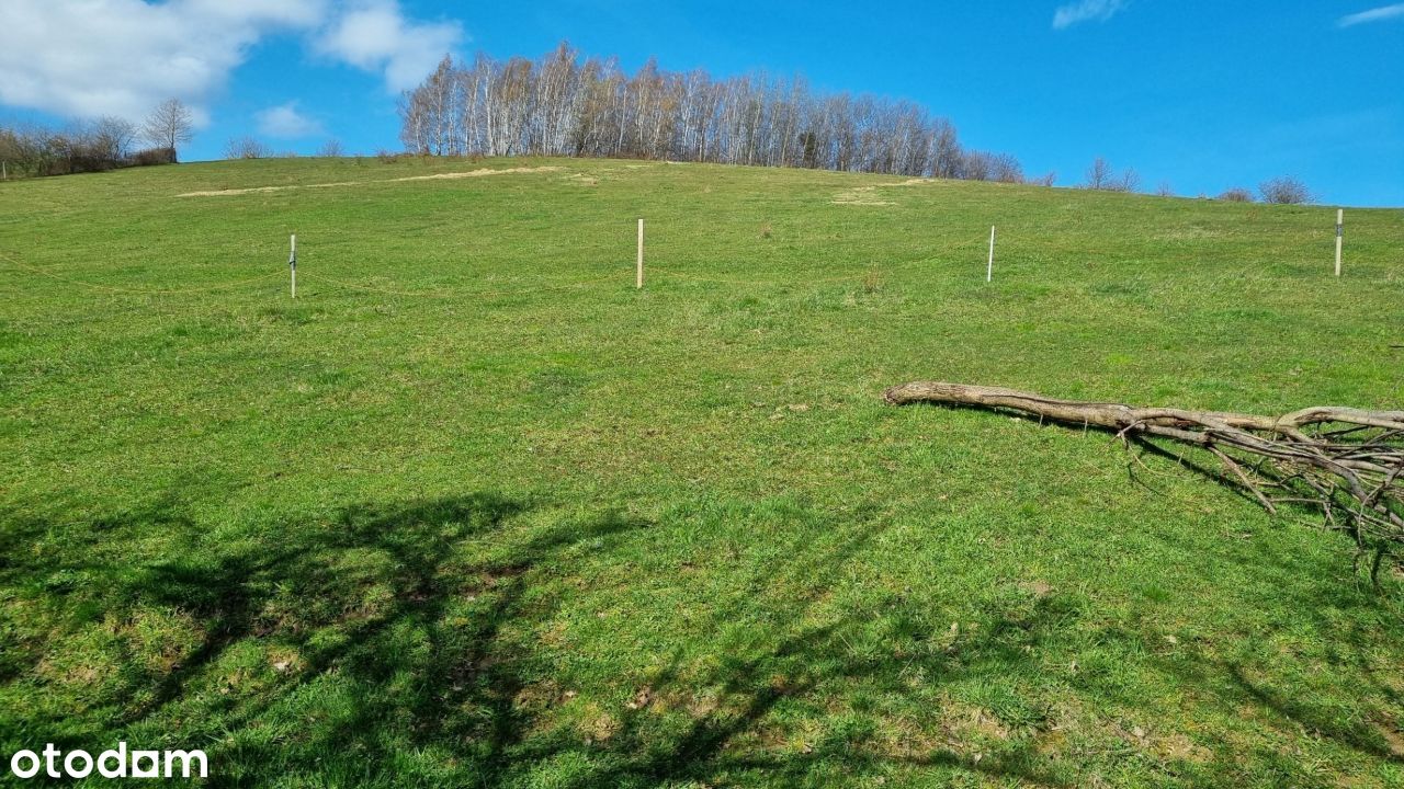 Działka rolno budowlana Wronowice 2,73 ha