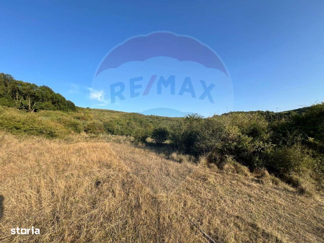 Teren cu pârâu | 50,000 mp | zona Caianu-Vama | la liziera pădurii - Imagine principală: 2/17