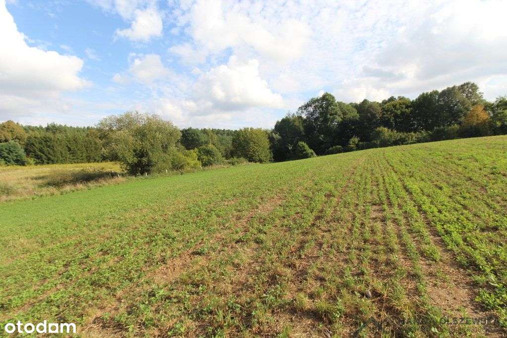 Działa przy jeziorze Łąkorz-3