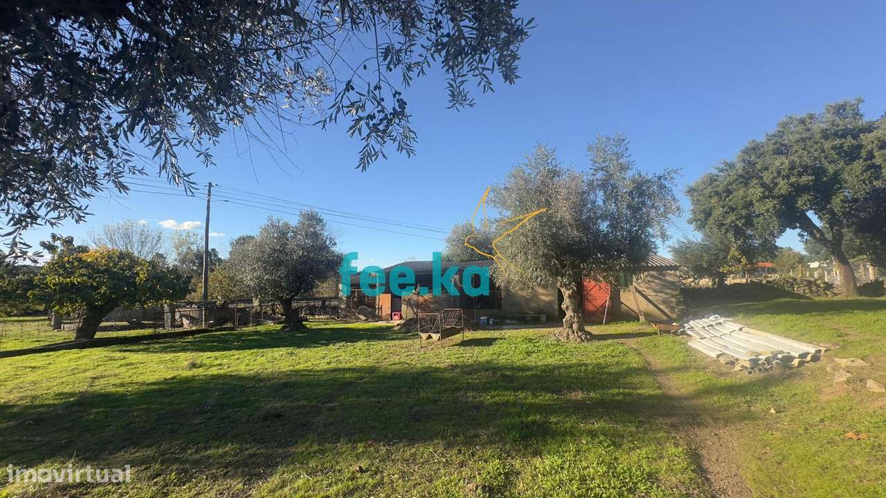 Quinta em Escalos de Baixo-5