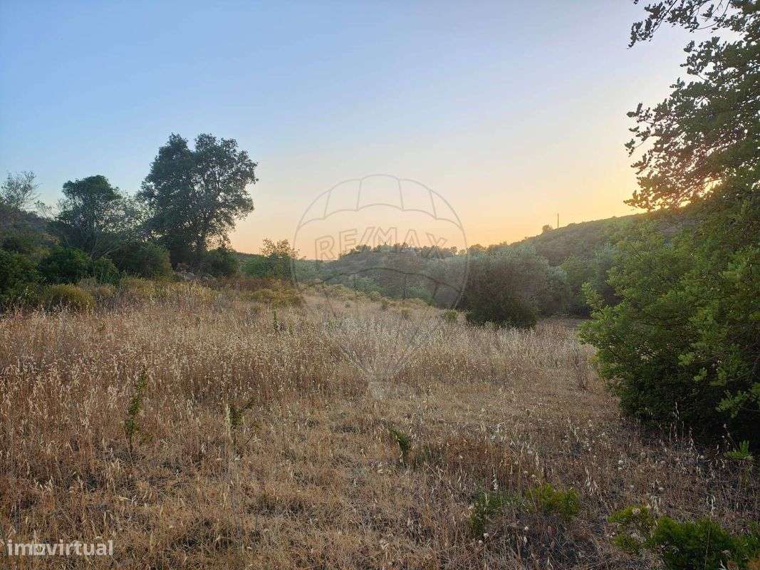 Terreno  para venda - Grande imagem: 3/12