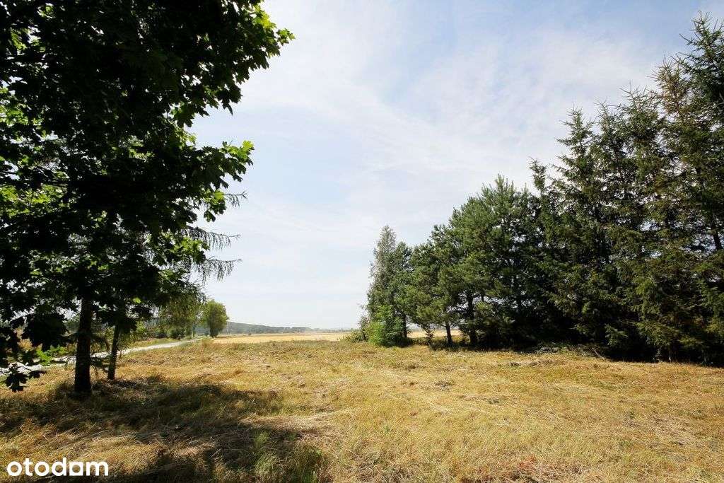 Działka pod zabudowę czterech budynków-3