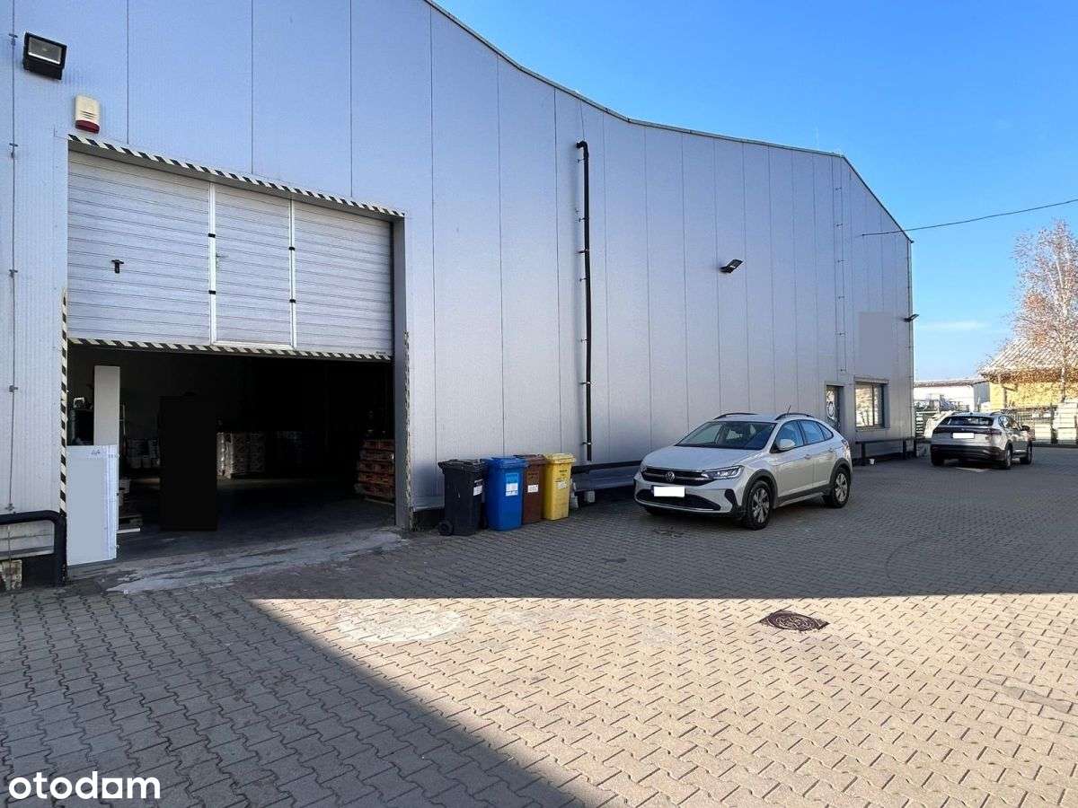 Hala/magazyn na wynajem - Pełny obrazek: 5/8
