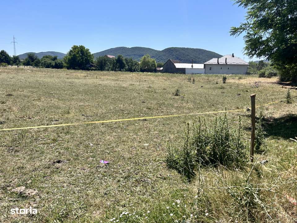 Teren Intravilan central in Sarata  parcele 700 mp - Imagine principală: 3/6