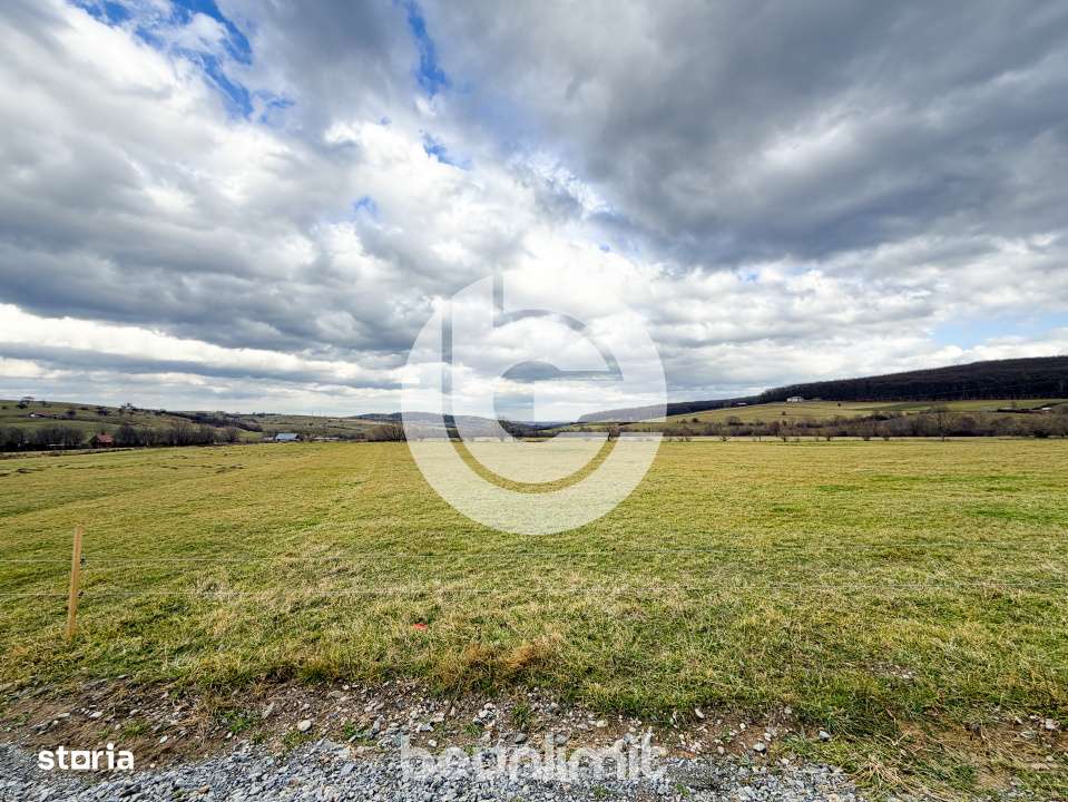 Teren intravilan in Tocile - 4354 m² - 2 fronturi - 49 euro/mp-17