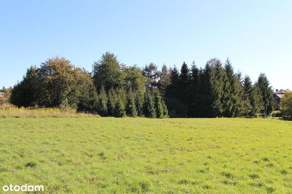 Działka budowlana w Jerzmanowicach - Pełny obrazek: 4/6