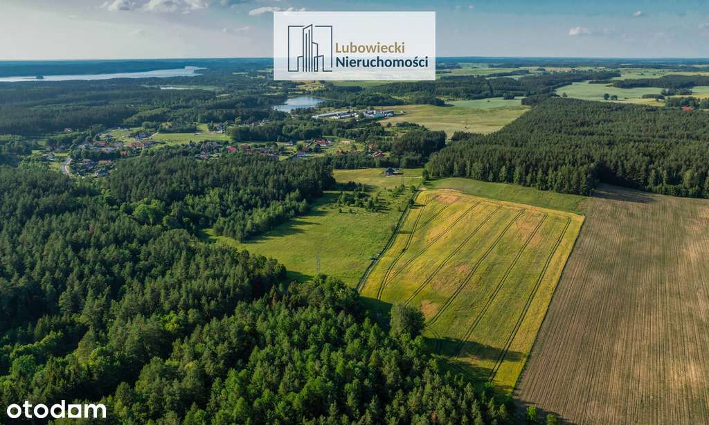 Kompleks działek w Dębówku - Pełny obrazek: 4/13