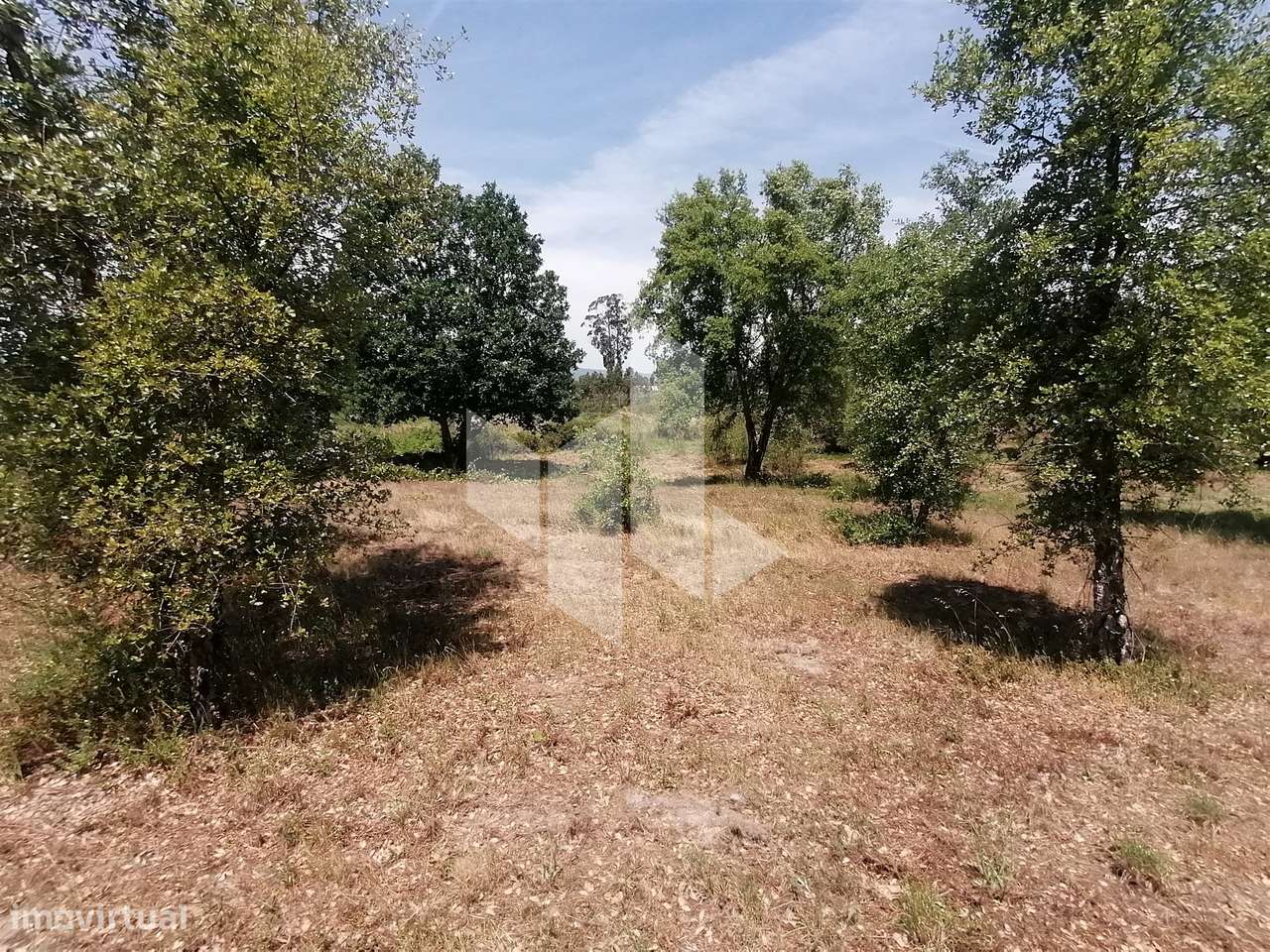 Terreno Rústico  Venda em Lobão da Beira,Tondela - Grande imagem: 4/7