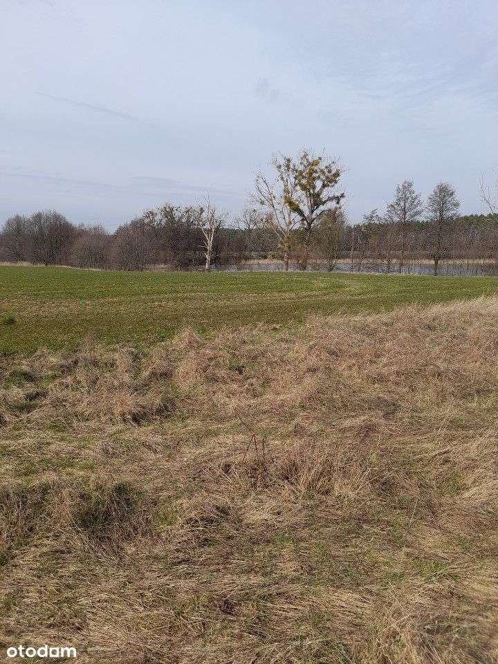 BUDOWLANA nad Jeziorem Orliczko - Pełny obrazek: 5/6