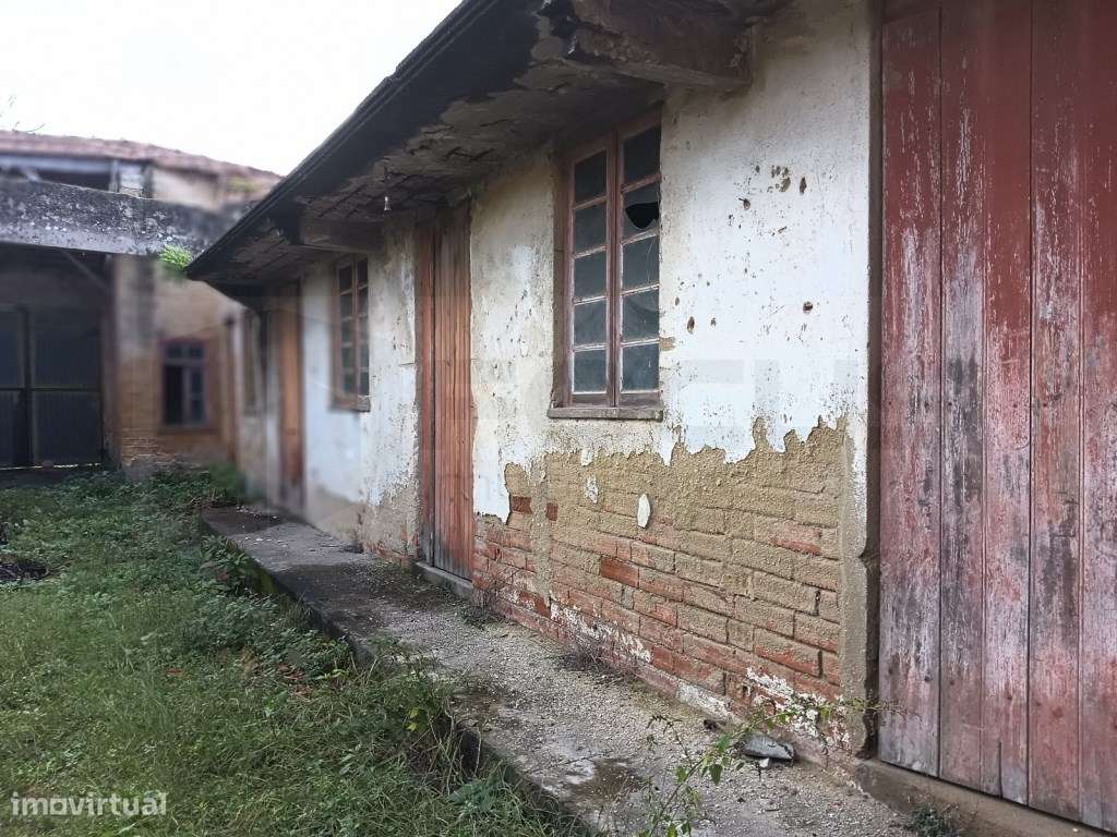 Moradia antiga Térrea estilo lavrador para restauro - Vagos / Ouca - Grande imagem: 5/24