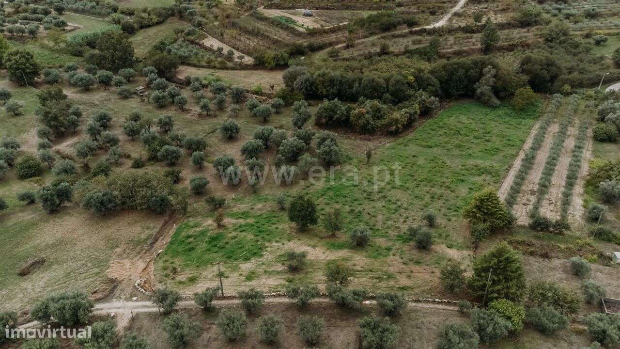 Terreno Rústico / Covilhã, Ferro - Grande imagem: 2/16