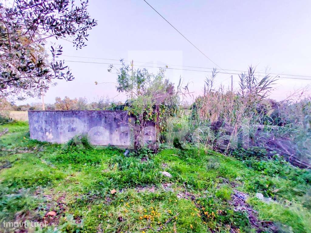 Casa Antiga T3 Venda Faro-15