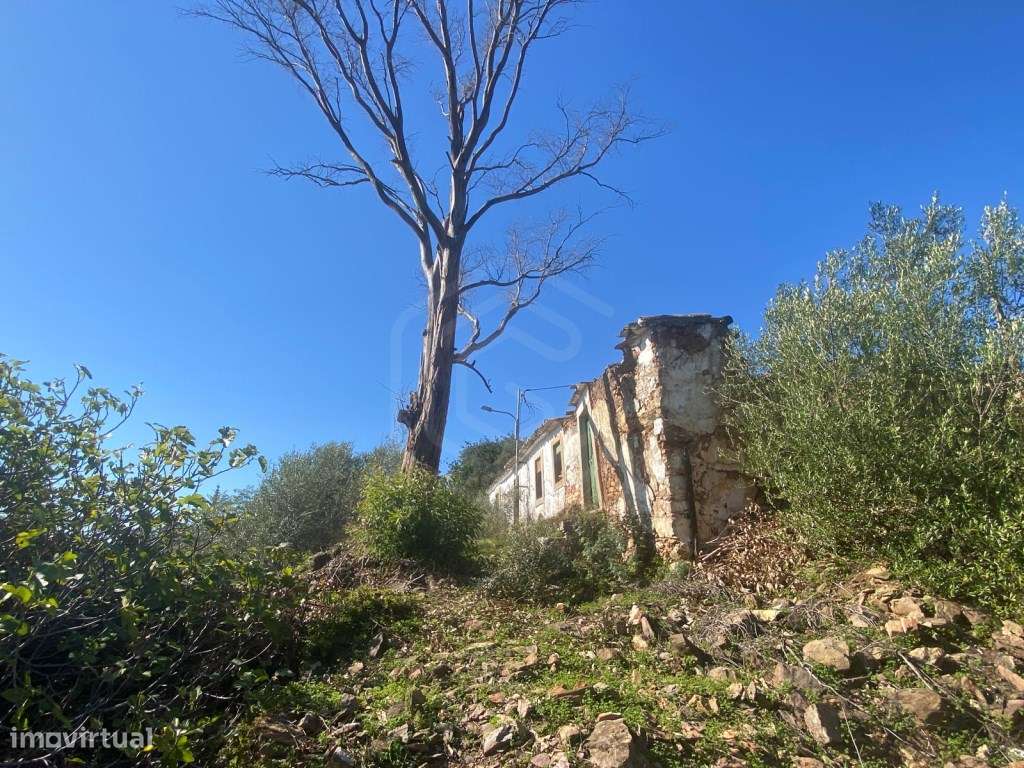 Moradia Tradicional para Restauro, São Brás de Alportel, Algarve - Grande imagem: 4/25