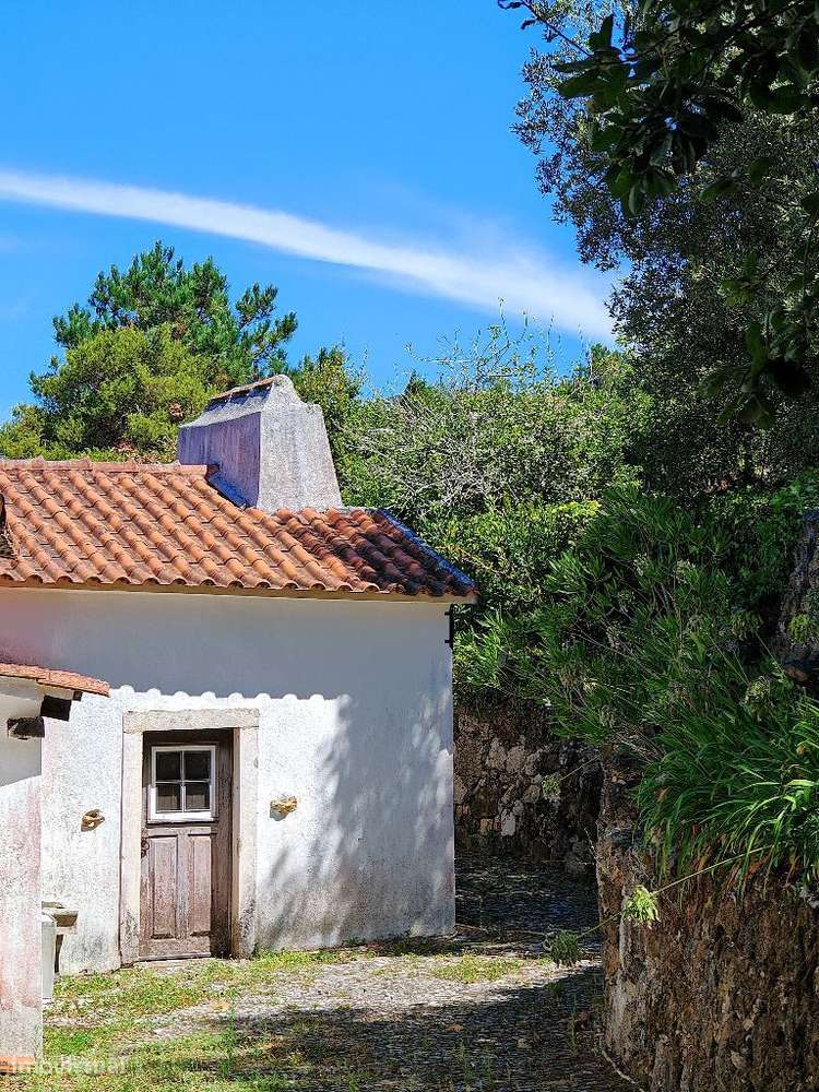 Quinta com muita privacidade, a 11 minutos do centro da Ericeira-39