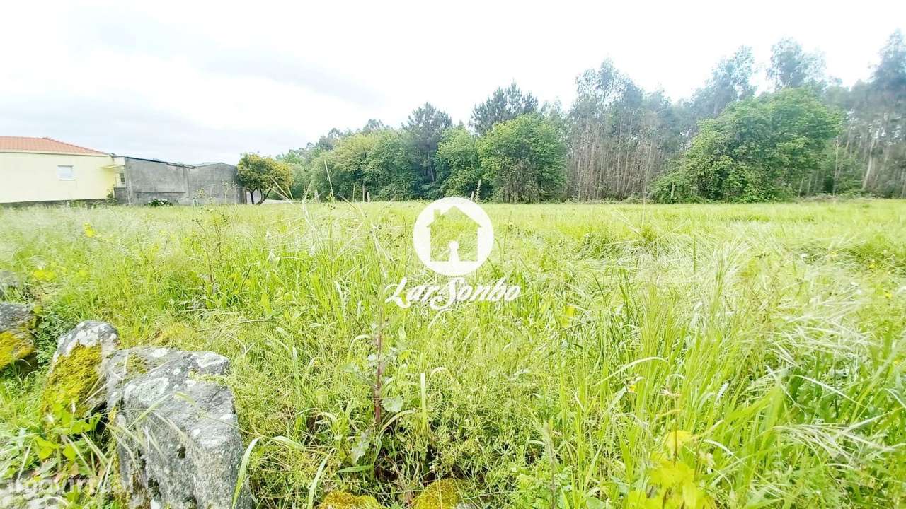 Terreno de 1.250m2 e 29m frente para construção de Moradias em S. P...-11