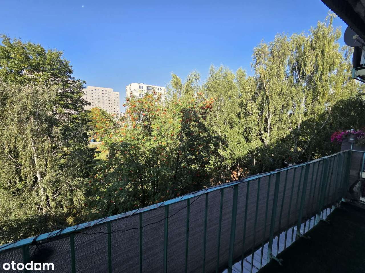 Polecam! Mieszkanie trzypokojowe z loggią, os Wschód-15
