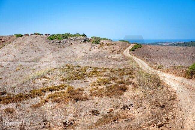 Terreno Rustico em Miroicos - Vila do Bispo - Grande imagem: 3/5