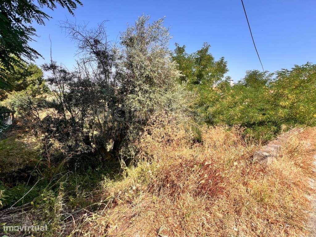 Terreno urbano com projeto aprovado em excelente localização -Abrantes - Grande imagem: 5/12