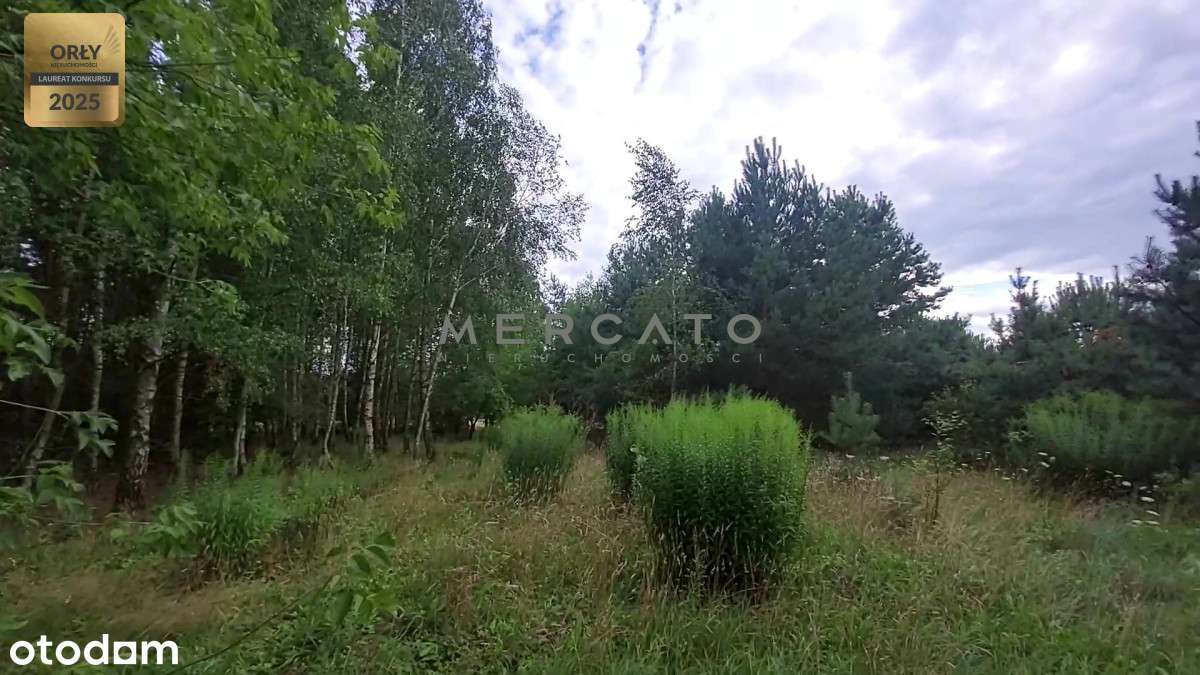 działka 1151 m² - Burlaki - Pełny obrazek: 5/10