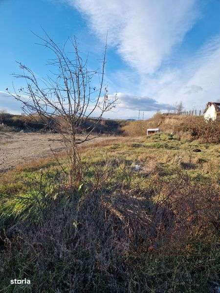 Vind teren intravilan în Riureni str Oltului nr 38. - Imagine principală: 4/8