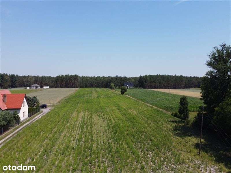Działki budowlane na sprzedaż, Zosinki - Pełny obrazek: 5/15