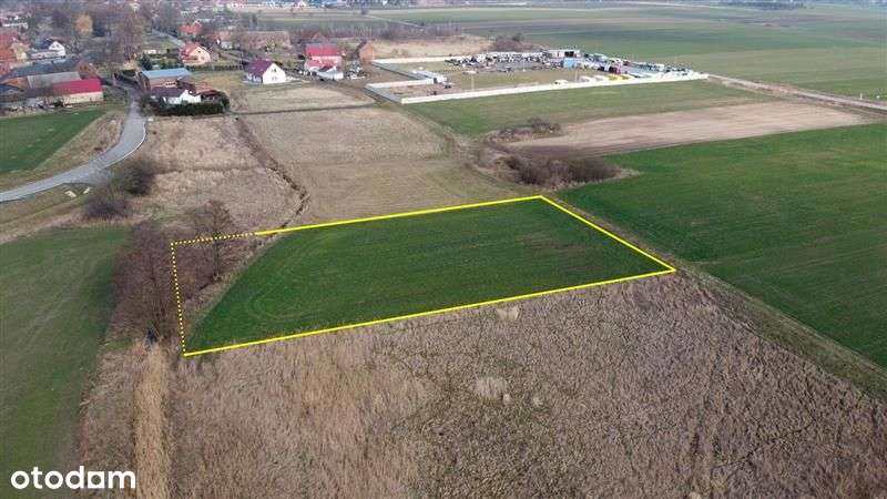 Kalsk - działka budowlana przy "rzeczce" - Pełny obrazek: 5/6