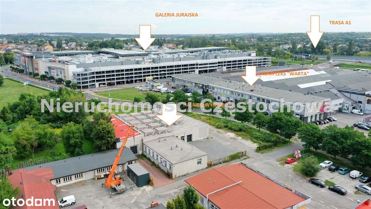 Hala Krakowska - Pełny obrazek: 3/11