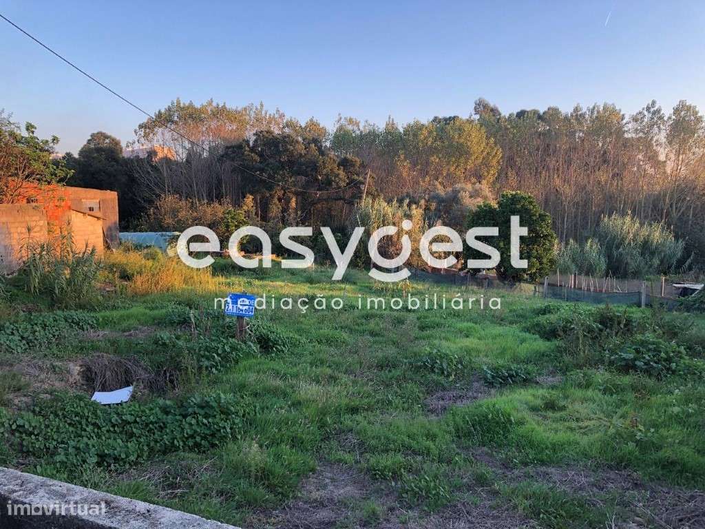 Terreno para construção do centro de Oliveira do Bairro - Grande imagem: 5/5