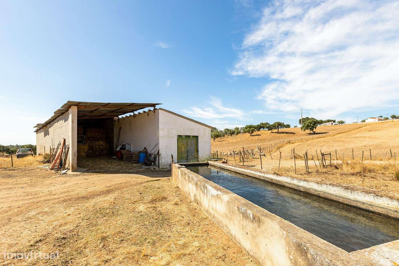 Monte Alentejano com 45 Hectares e Infraestruturas Agrícolas-19