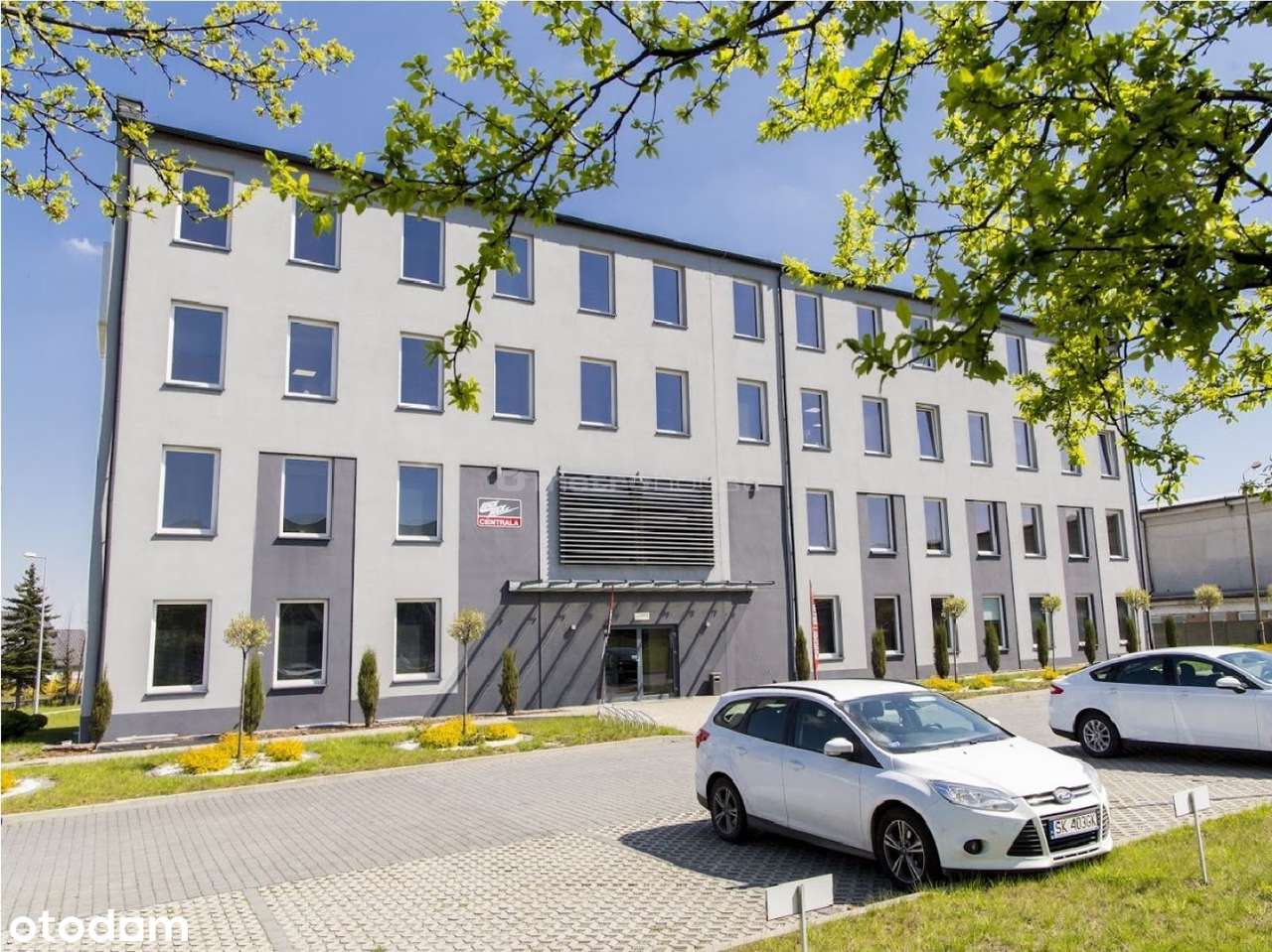 Wyremontowana powierzchnia biurowa 392 m2 - Pełny obrazek: 2/20