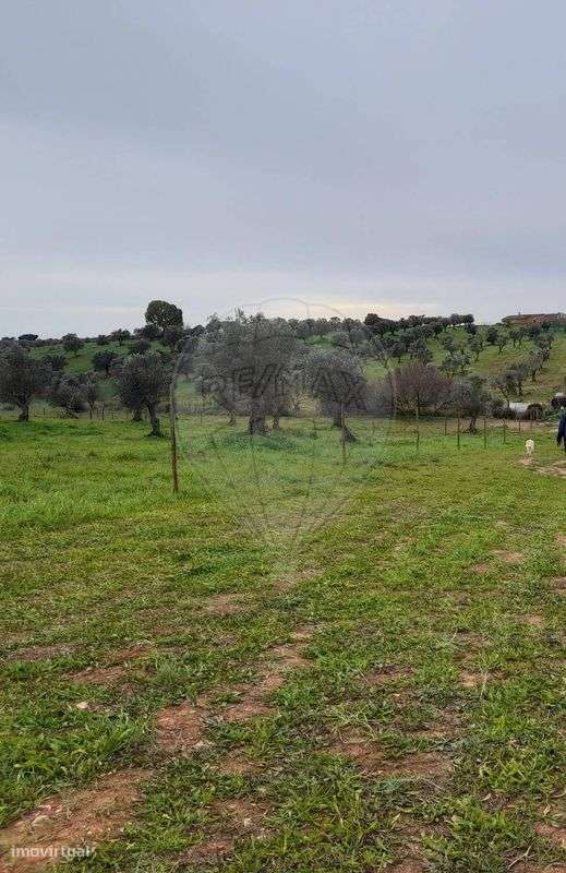 Quinta  para venda - Grande imagem: 3/9