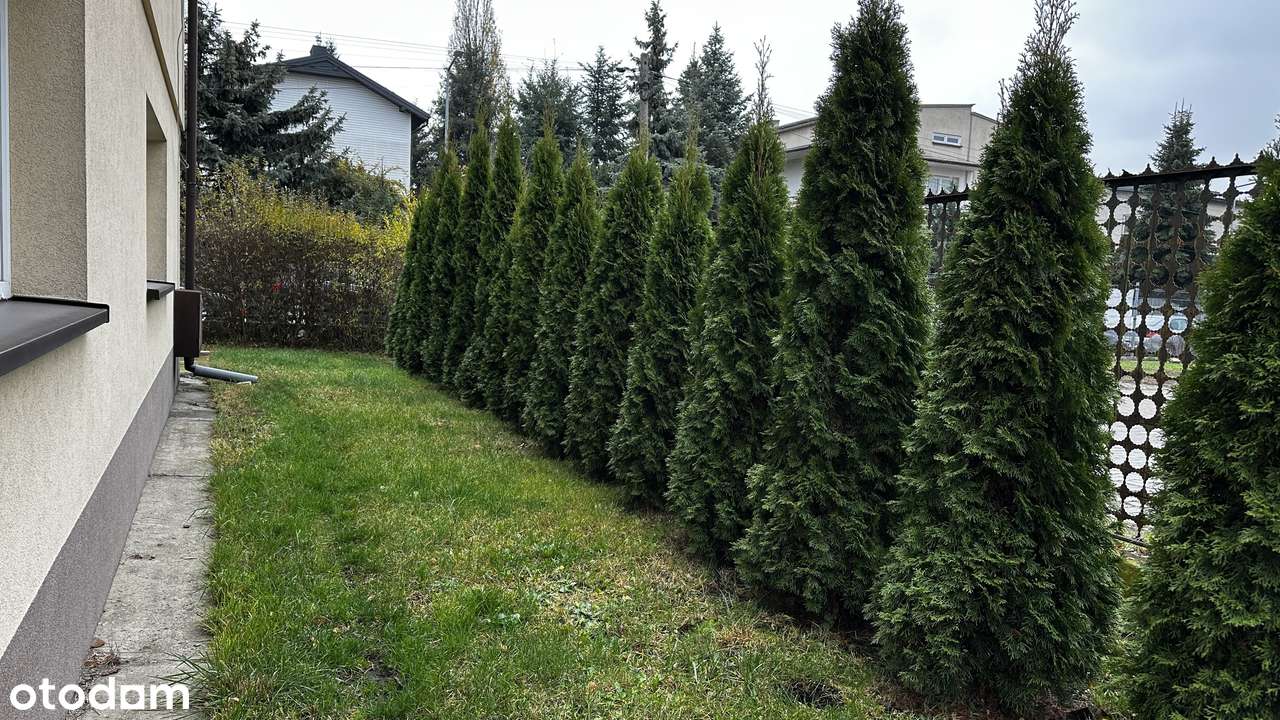 Dom jednorodzinny z garażem i ogrodem - Pełny obrazek: 4/16