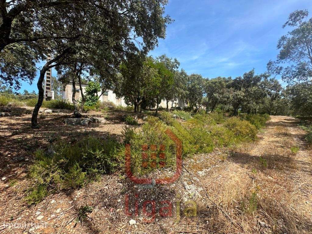 Armazém Industrial/Agropecuário com 9.700 m² de Terreno | Entre Our...-9