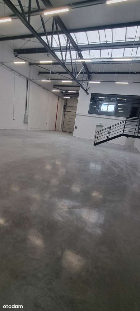 Nowa Hala przy S11 - Zakrzewo - Pełny obrazek: 5/13