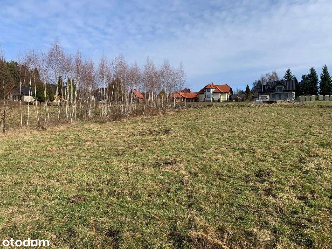 Piękna polanka przy lesie, blisko prąd ! Okazja - Pełny obrazek: 4/6