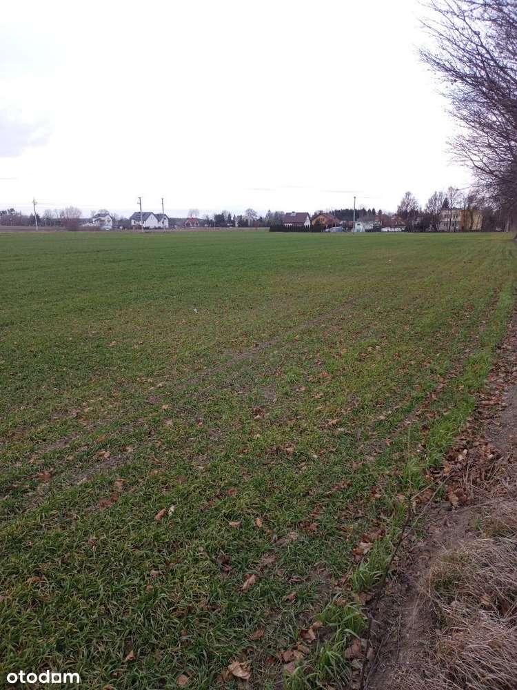 Sprzedam działki budowlane Winnica (uchwalony MPZP) - Pełny obrazek: 4/8