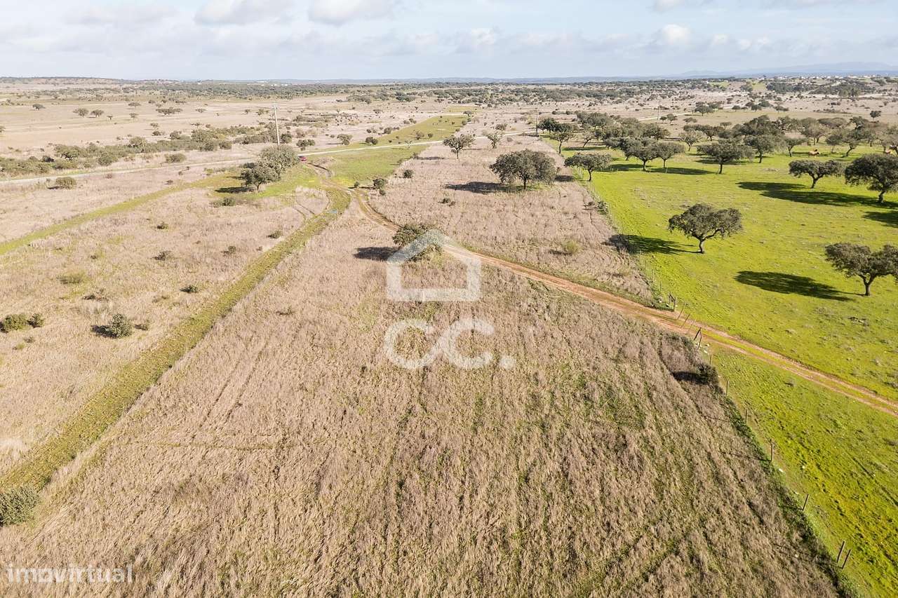 Terreno de 5,4 ha c/ Viabilidade de Construção | Capelins, Alandroal-47