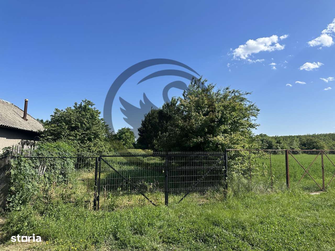 Teren Vanzare 11.000 MP Ghirdoveni | Comision 0% - Imagine principală: 4/14