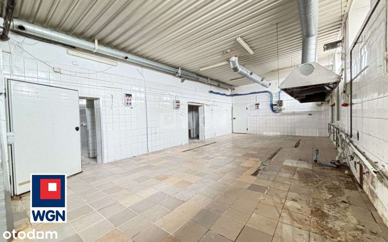 Powierzchnia produkcyjno-magazynowa hala Ustowo - Pełny obrazek: 4/14