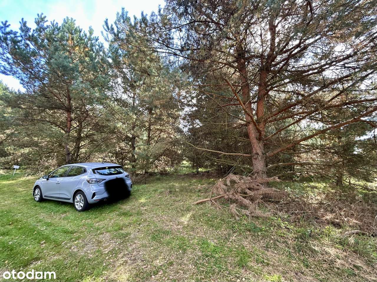 Działka 800 m² pod lasem | Mstów | MPZP | Spokojna okolica-4