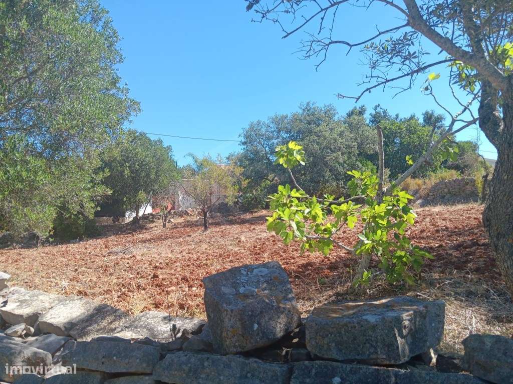 Terreno com ruína, vista mar, Santa Bárbara de Nexe, Faro, Algarve-20
